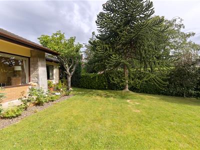 Picture 24